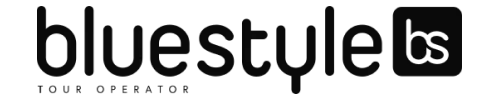 logo Bluestyle