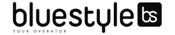 logo Bluestyle