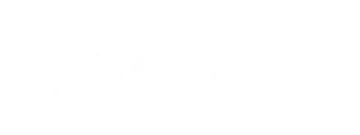Bluestyle logo