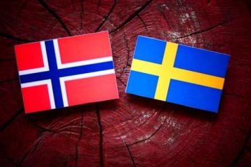 Platební brána ComGate podporuje norskou a švédskou korunu