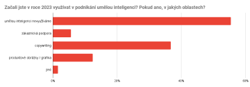 Začali jste v roce 2023 využívat v podnikání umělou inteligenci? Pokud ano, v jakých oblastech?